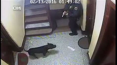 off duty cop shoots dog.